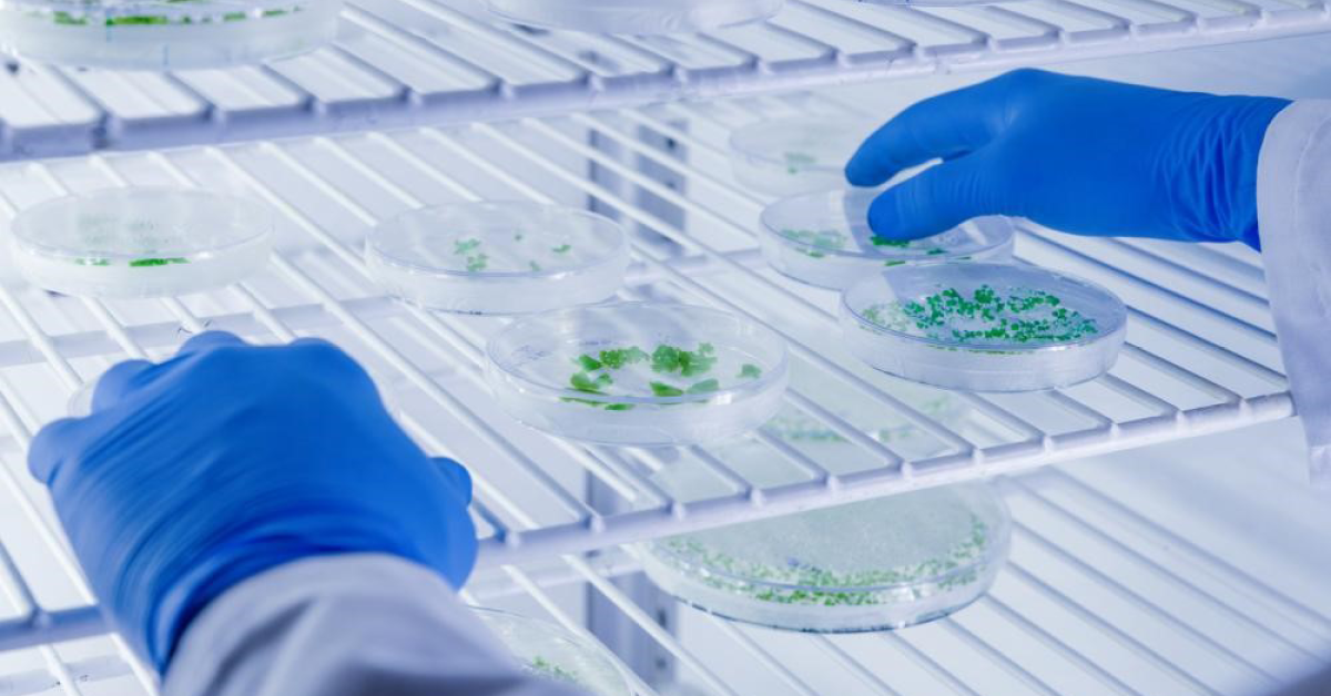Medical & Lab Refrigeration