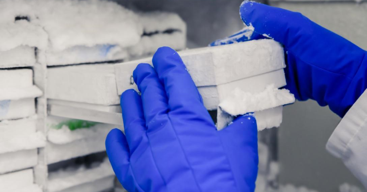 Ultra-Low Temperature Freezer